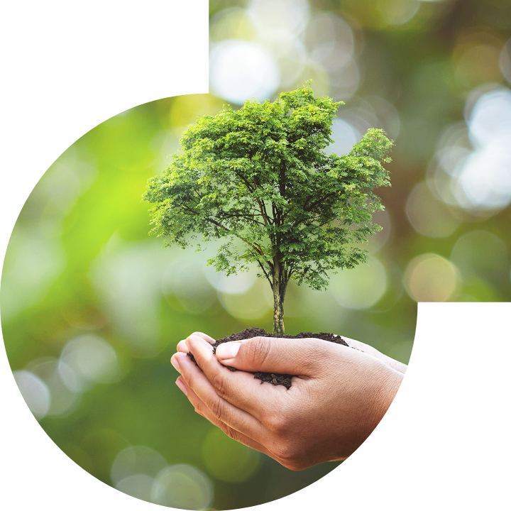 �P������Ļ����h���c���