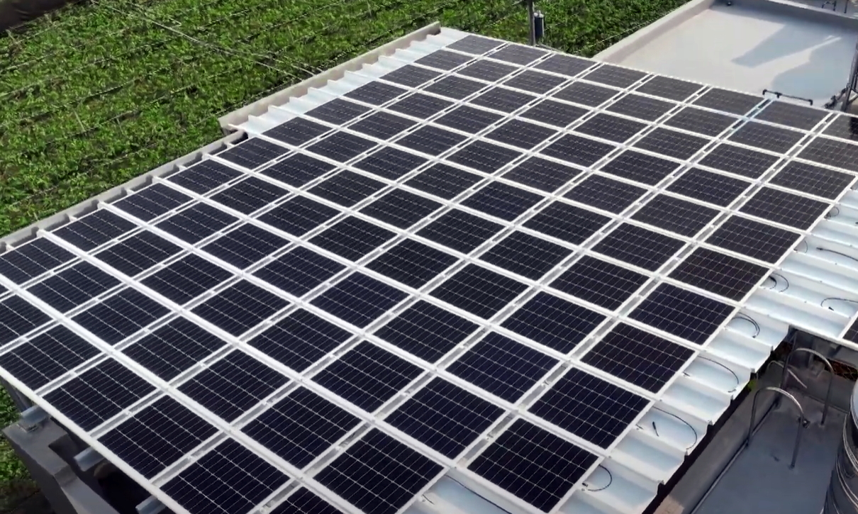 LEYU�پW(w��ng)SunSteel����˰������p���Y(ji��)��(g��u)���������C(j��)еؓ(f��)�d��(qi��ng)�ȼ�����ͺ�ȣ��ɏV���\(y��n)���ڶ�Ԫ����