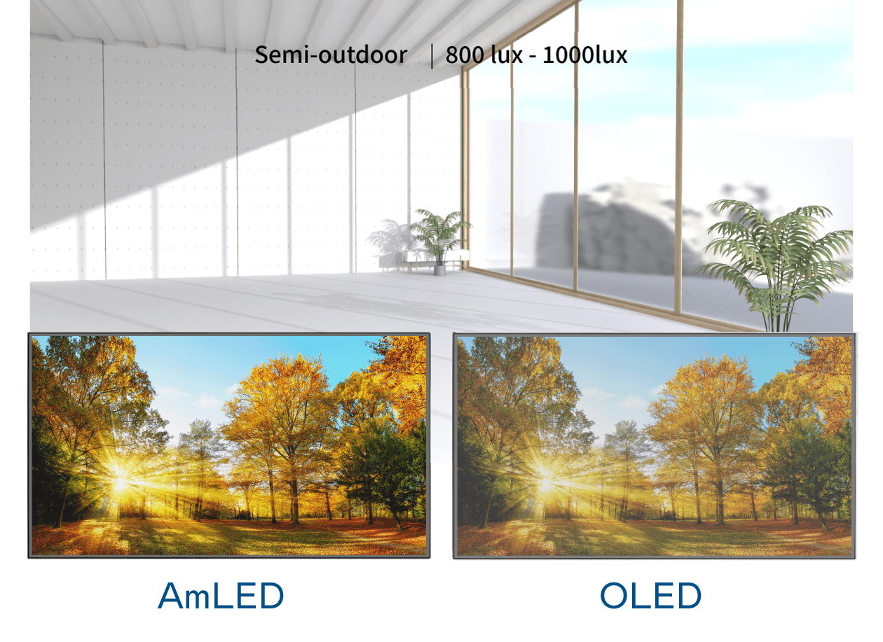 �������Ҍ���